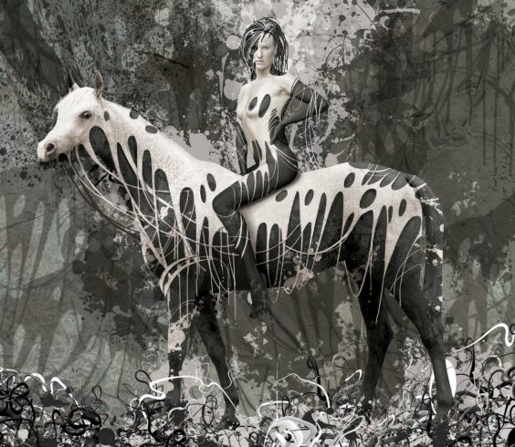 White rider