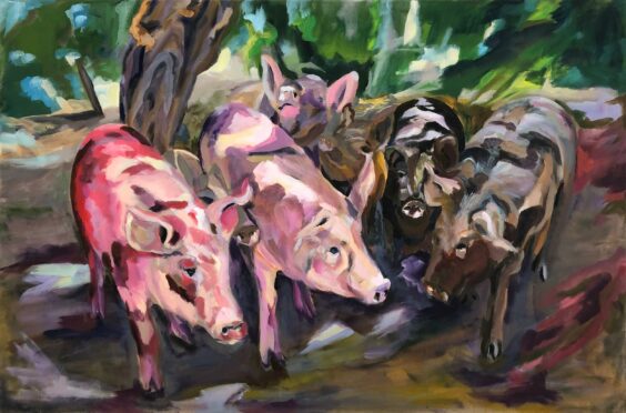 Iberische Schweinerei