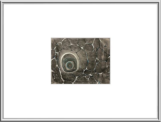 Whale´s eye
