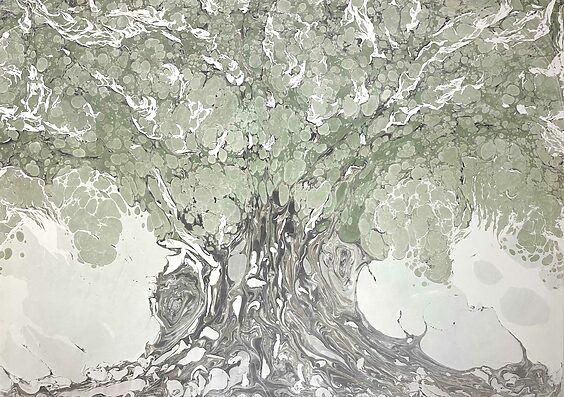 Olive tree