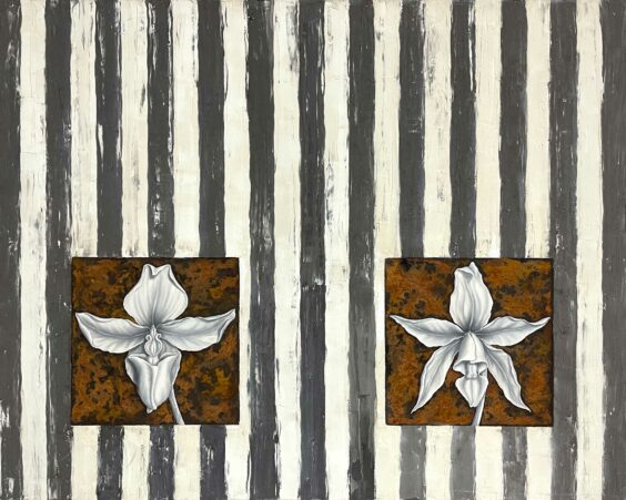 Orchidee