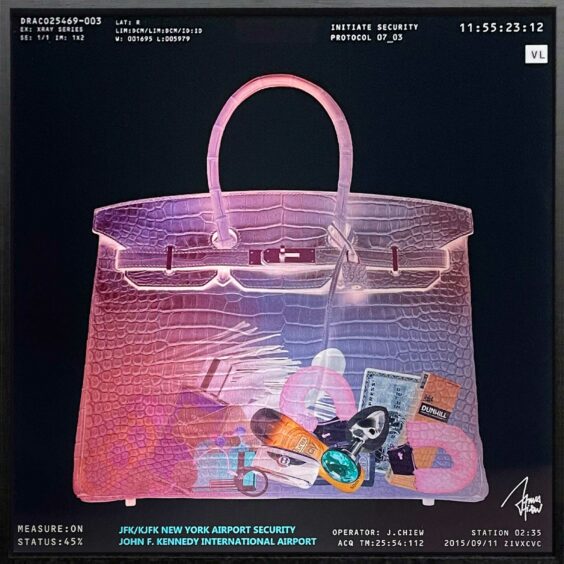 Lenticular x ray bag Rimowa