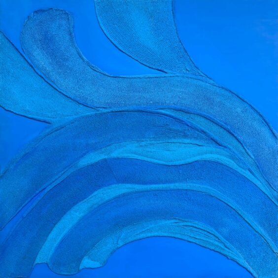 Blue lavuo