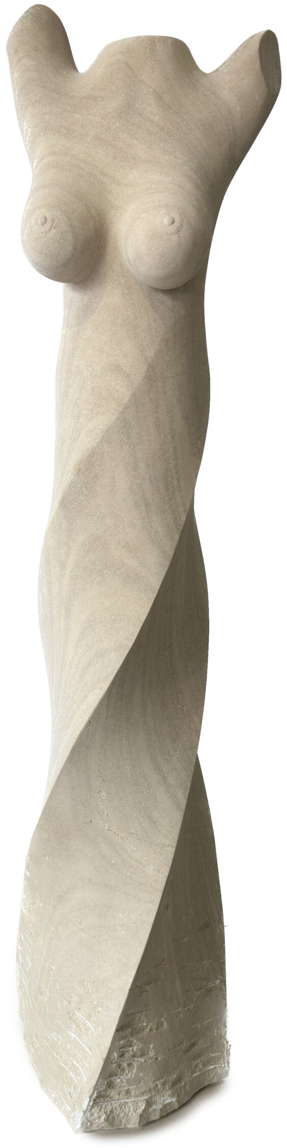 Torso