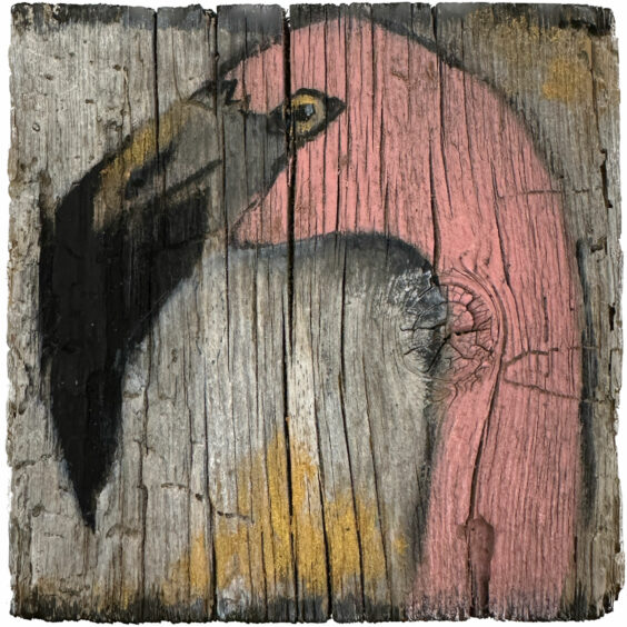 Sunrise Flamingo II