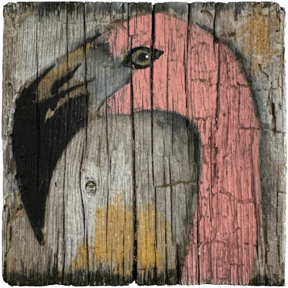 Sunrise Flamingo VI