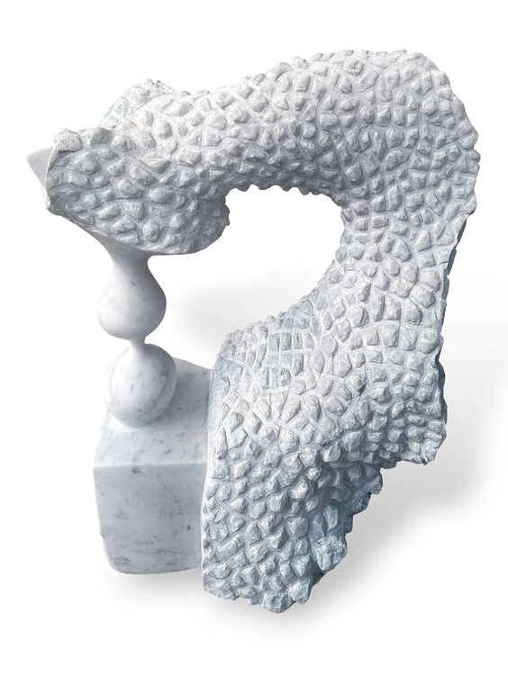 Hipoccampo