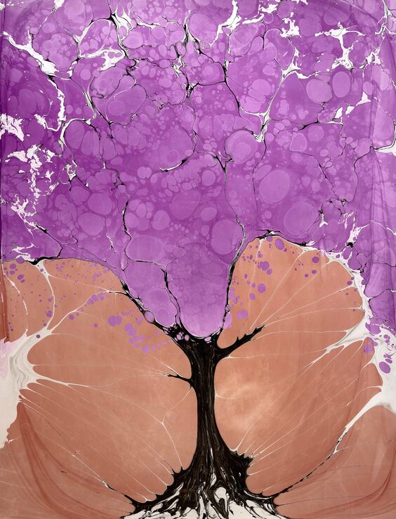 Jacaranda