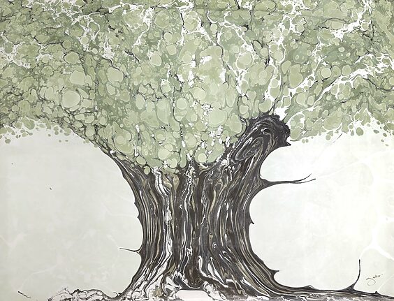 Wisdom Olive Tree